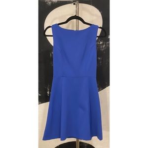 Love.....ady SMALL Cobalt Blue Mini Dress